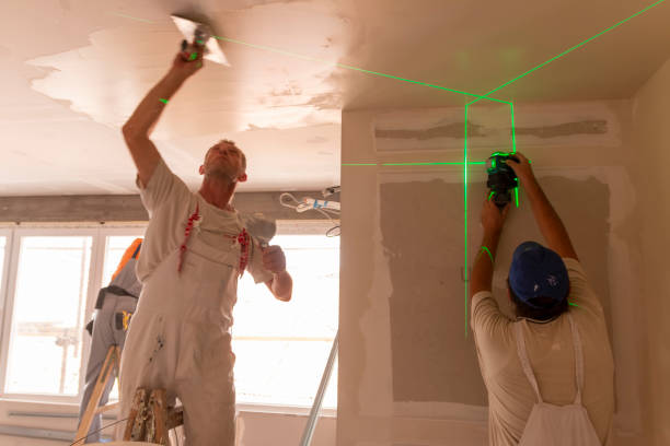 Best Water-Damaged Drywall Repair  in , DC